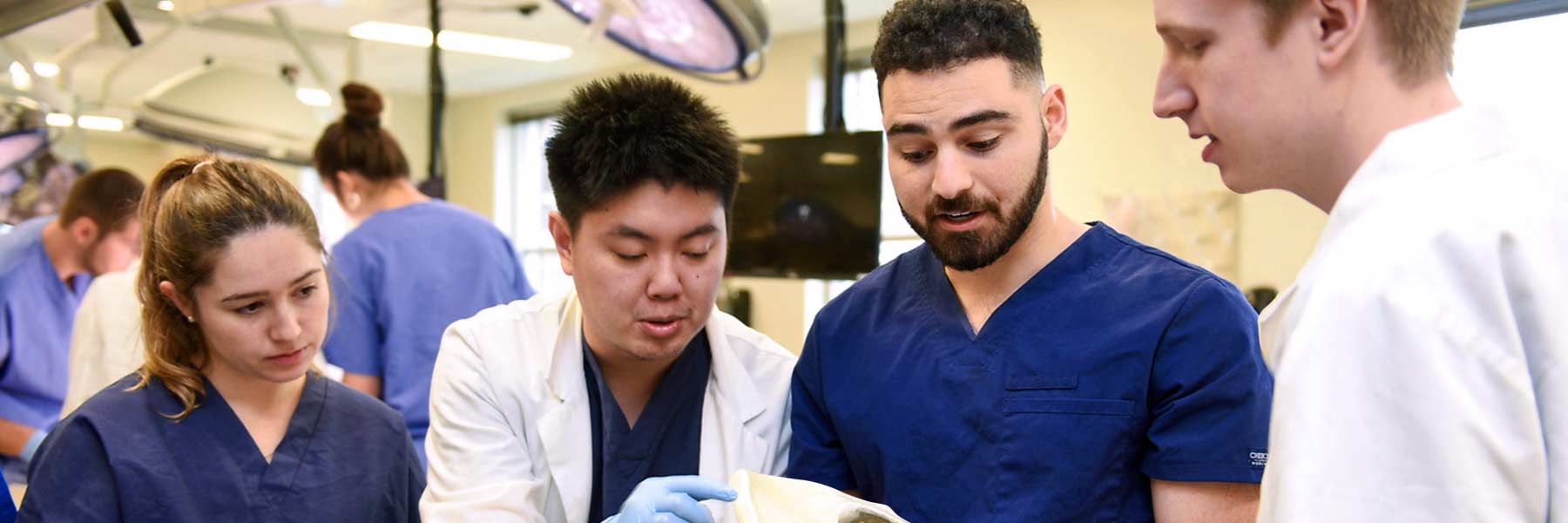 anatomy students examine a pelvic bone
